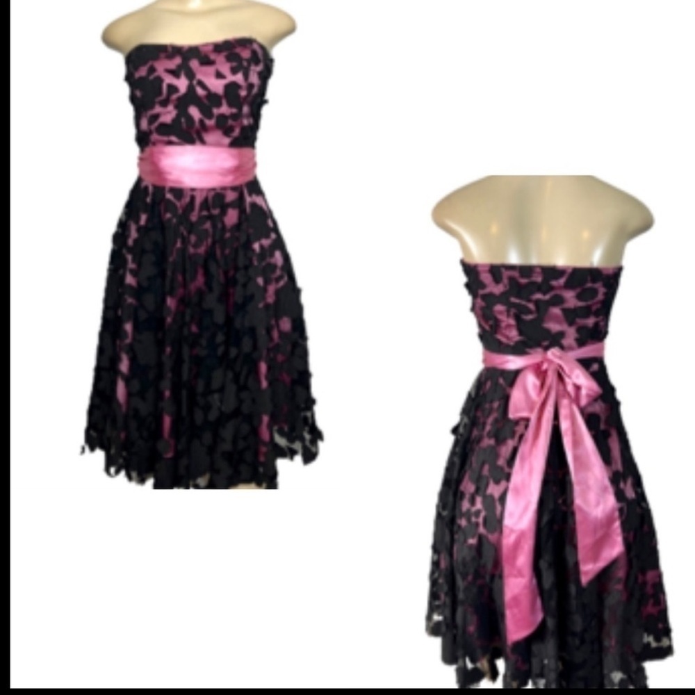 Lyndia Procanik Strapless whimsical romantic Pink and Black Lace  Dress